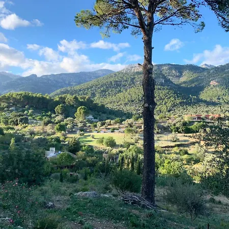 Sa Penya D'es Vent Holiday home Selva (Mallorca)